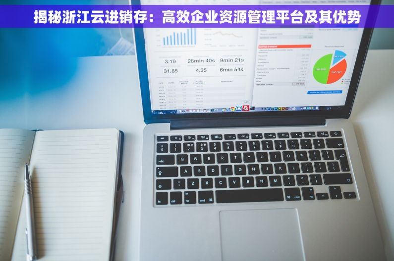 揭秘浙江云进销存：高效企业资源管理平台及其优势