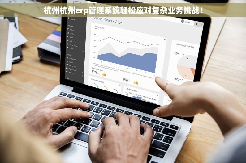 杭州杭州erp管理系统轻松应对复杂业务挑战！