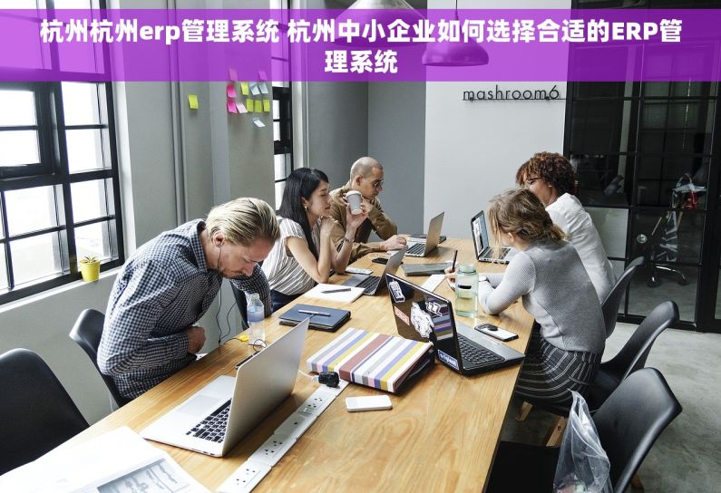 杭州杭州erp管理系统 杭州中小企业如何选择合适的ERP管理系统