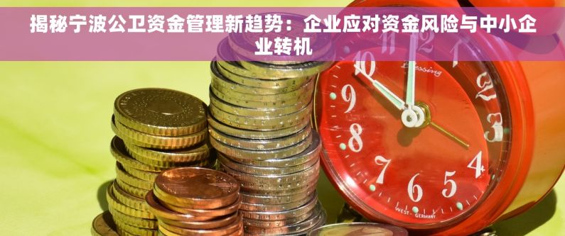 揭秘宁波公卫资金管理新趋势：企业应对资金风险与中小企业转机