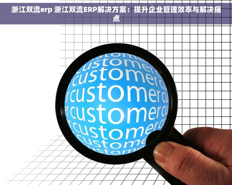 浙江双流erp 浙江双流ERP解决方案：提升企业管理效率与解决痛点