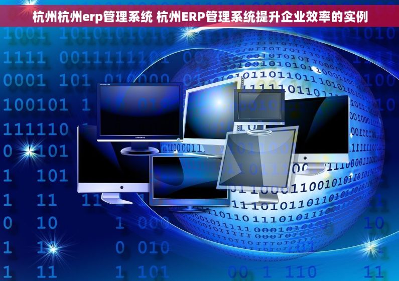 杭州杭州erp管理系统 杭州ERP管理系统提升企业效率的实例