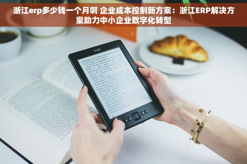 浙江erp多少钱一个月啊 企业成本控制新方案：浙江ERP解决方案助力中小企业数字化转型