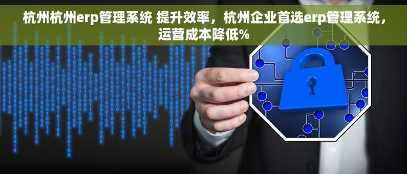 杭州杭州erp管理系统 提升效率，杭州企业首选erp管理系统，运营成本降低%