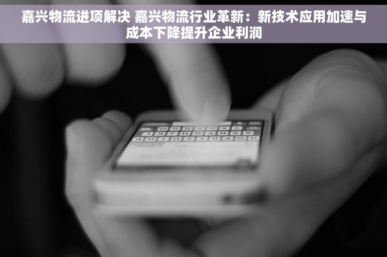 嘉兴物流进项解决 嘉兴物流行业革新：新技术应用加速与成本下降提升企业利润