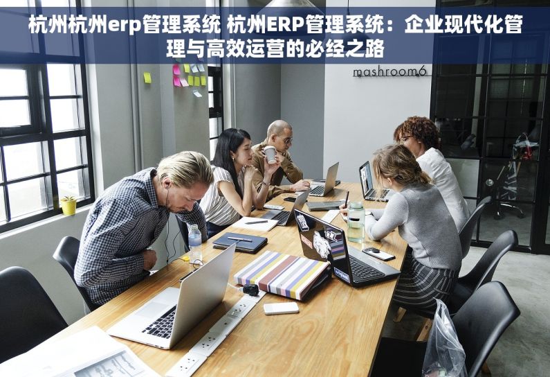 杭州杭州erp管理系统 杭州ERP管理系统：企业现代化管理与高效运营的必经之路