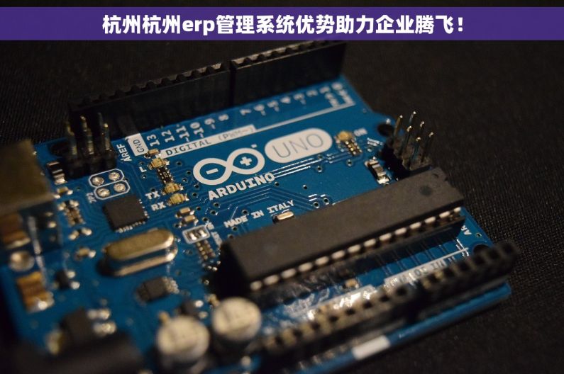 杭州杭州erp管理系统优势助力企业腾飞！
