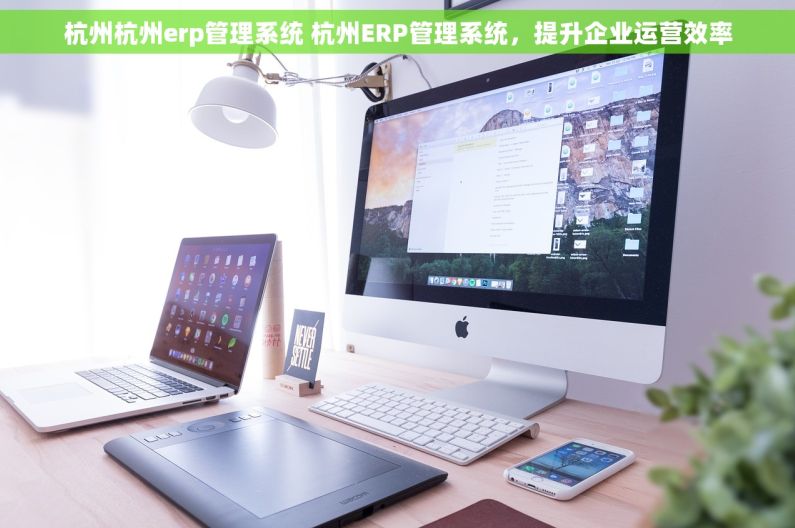 杭州杭州erp管理系统 杭州ERP管理系统，提升企业运营效率