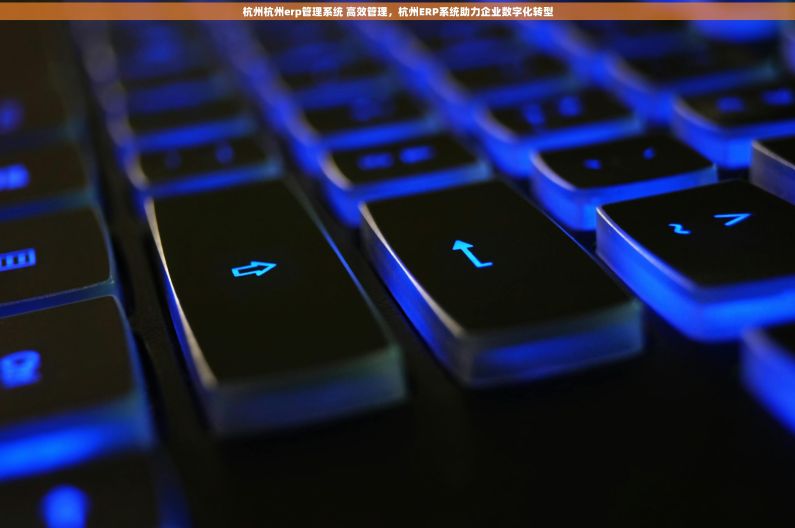 杭州杭州erp管理系统 高效管理，杭州ERP系统助力企业数字化转型
