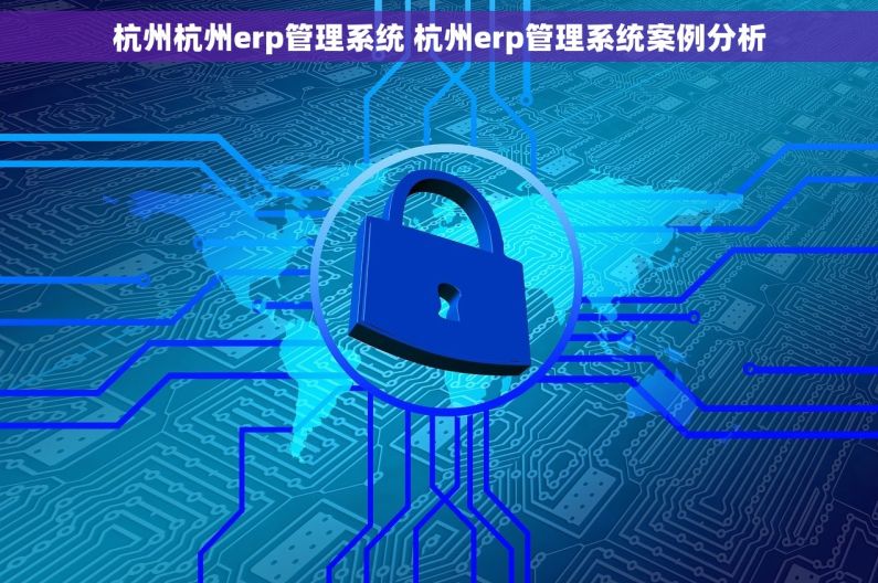 杭州杭州erp管理系统 杭州erp管理系统案例分析