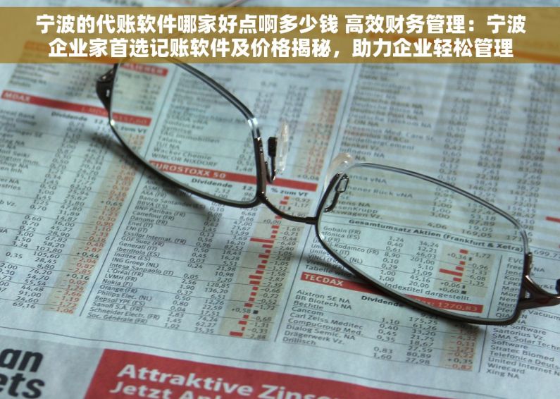 宁波的代账软件哪家好点啊多少钱 高效财务管理：宁波企业家首选记账软件及价格揭秘，助力企业轻松管理