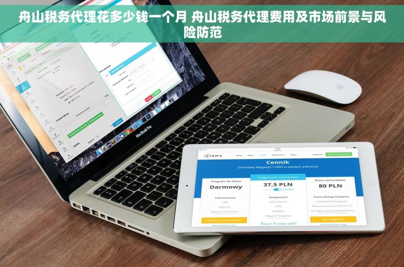 舟山税务代理花多少钱一个月 舟山税务代理费用及市场前景与风险防范