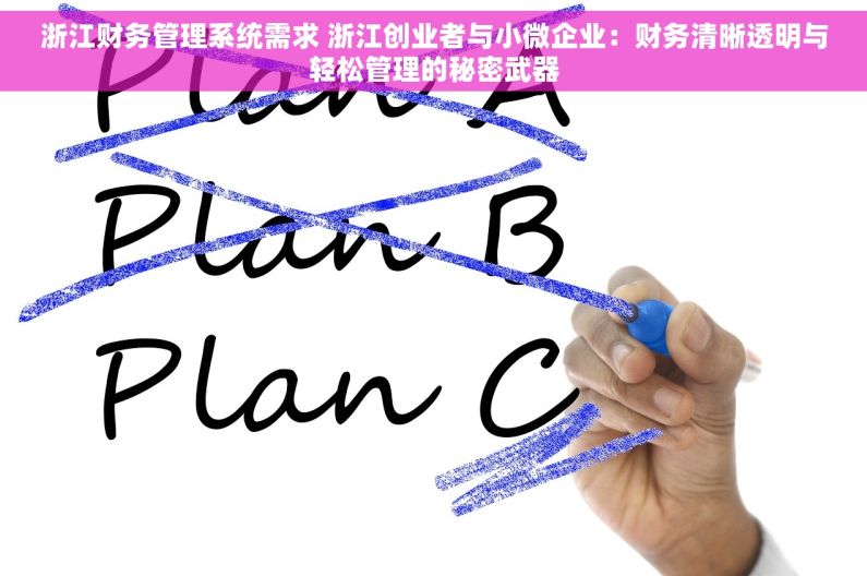 浙江财务管理系统需求 浙江创业者与小微企业：财务清晰透明与轻松管理的秘密武器
