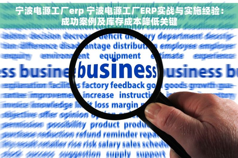 宁波电源工厂erp 宁波电源工厂ERP实战与实施经验：成功案例及库存成本降低关键