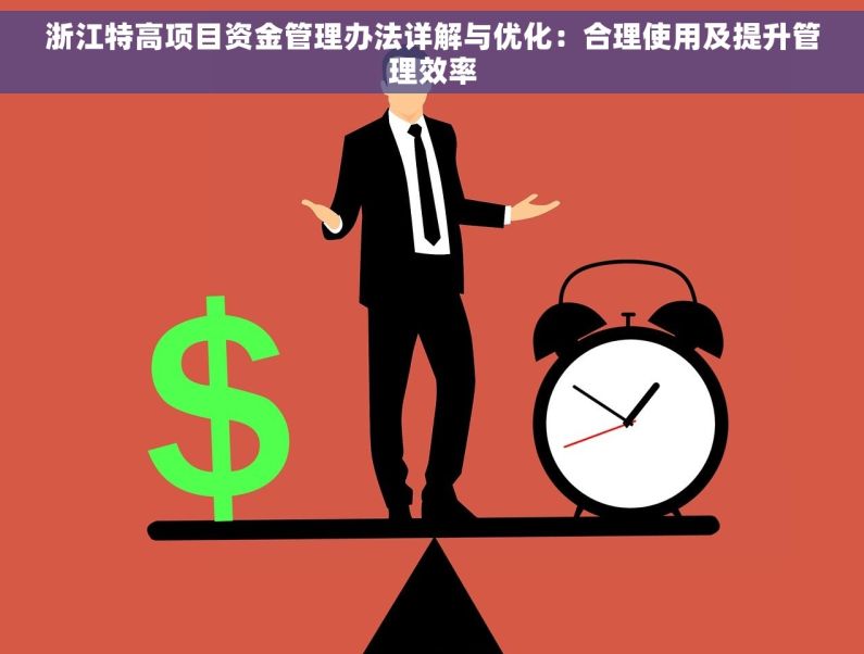 浙江特高项目资金管理办法详解与优化：合理使用及提升管理效率