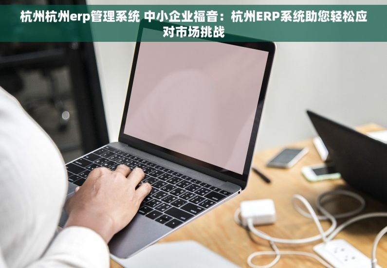 杭州杭州erp管理系统 中小企业福音：杭州ERP系统助您轻松应对市场挑战