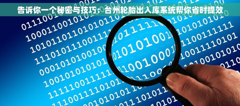 告诉你一个秘密与技巧：台州轮胎出入库系统帮你省时提效
