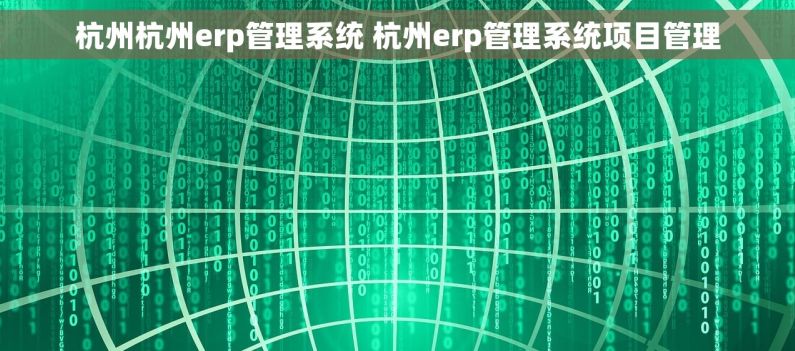 杭州杭州erp管理系统 杭州erp管理系统项目管理