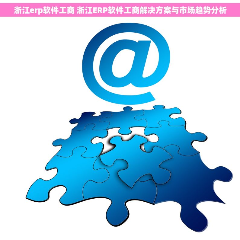 浙江erp软件工商 浙江ERP软件工商解决方案与市场趋势分析
