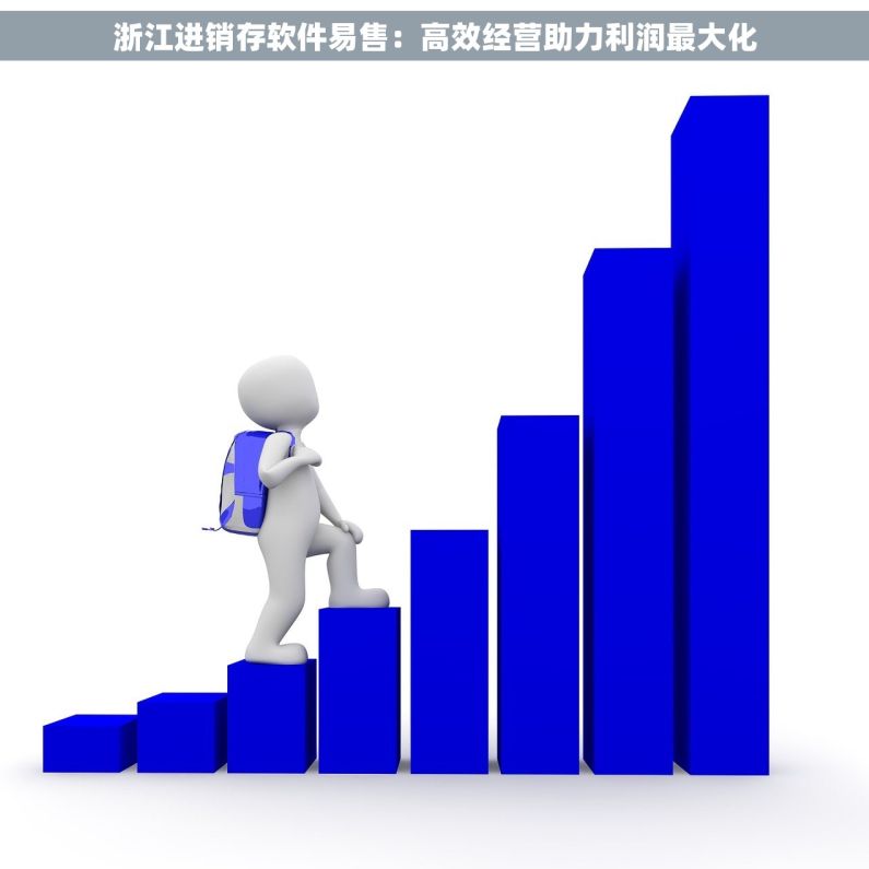 浙江进销存软件易售：高效经营助力利润最大化
