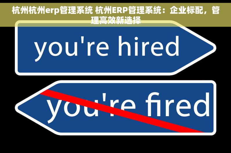 杭州杭州erp管理系统 杭州ERP管理系统：企业标配，管理高效新选择