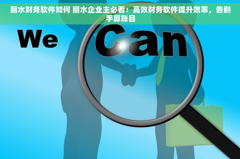 丽水财务软件如何 丽水企业主必看：高效财务软件提升效率，告别手算账目