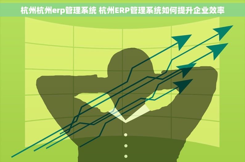 杭州杭州erp管理系统 杭州ERP管理系统如何提升企业效率