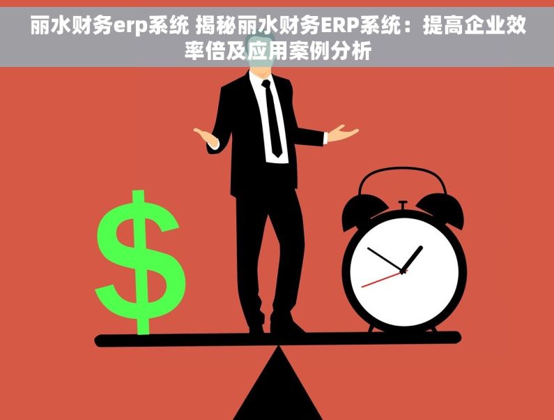 丽水财务erp系统 揭秘丽水财务ERP系统：提高企业效率倍及应用案例分析