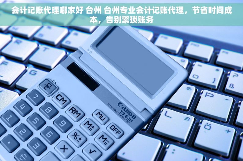 会计记账代理哪家好 台州 台州专业会计记账代理，节省时间成本，告别繁琐账务