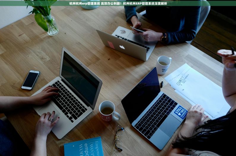 杭州杭州erp管理系统 高效办公利器！杭州杭州ERP管理系统深度解析