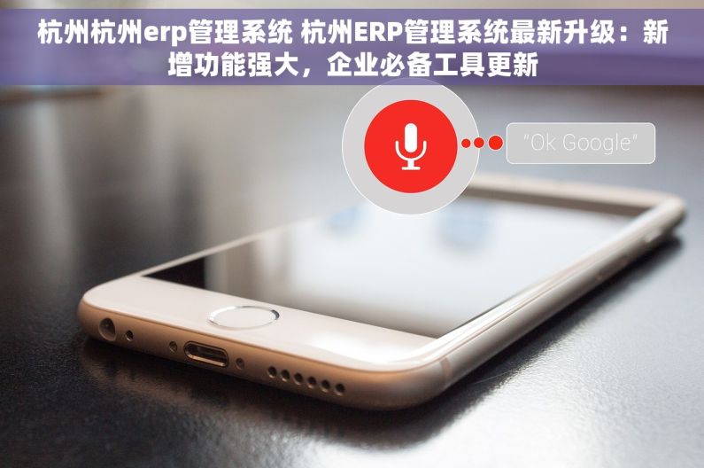 杭州杭州erp管理系统 杭州ERP管理系统最新升级：新增功能强大，企业必备工具更新