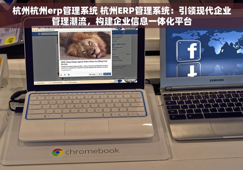杭州杭州erp管理系统 杭州ERP管理系统：引领现代企业管理潮流，构建企业信息一体化平台