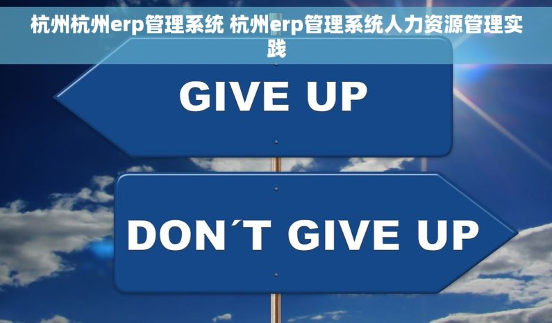 杭州杭州erp管理系统 杭州erp管理系统人力资源管理实践