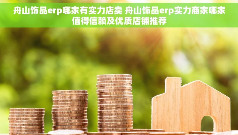 舟山饰品erp哪家有实力店卖 舟山饰品erp实力商家哪家值得信赖及优质店铺推荐
