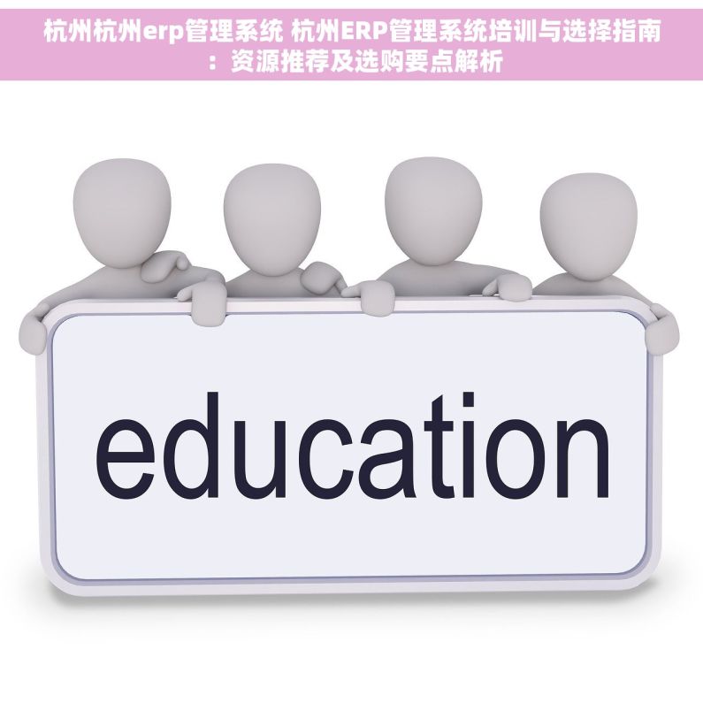 杭州杭州erp管理系统 杭州ERP管理系统培训与选择指南：资源推荐及选购要点解析