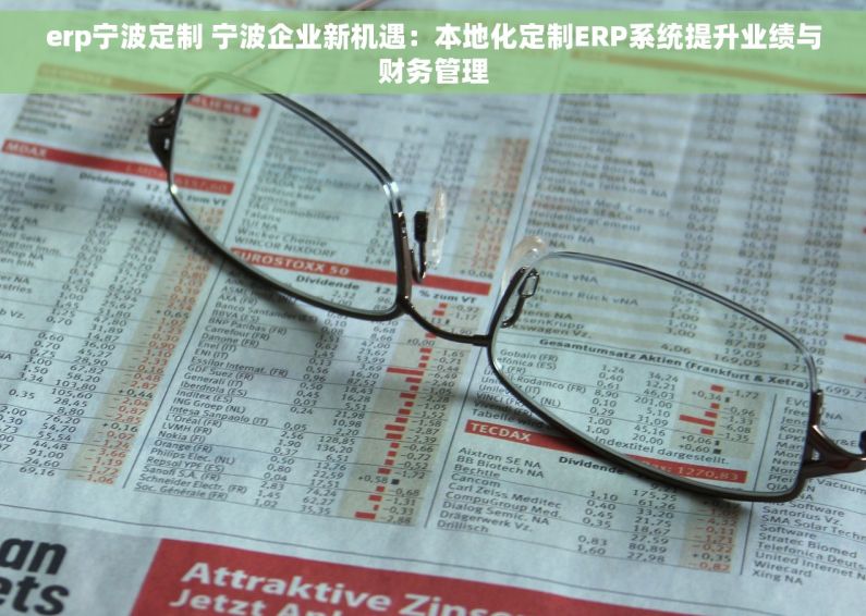 erp宁波定制 宁波企业新机遇：本地化定制ERP系统提升业绩与财务管理