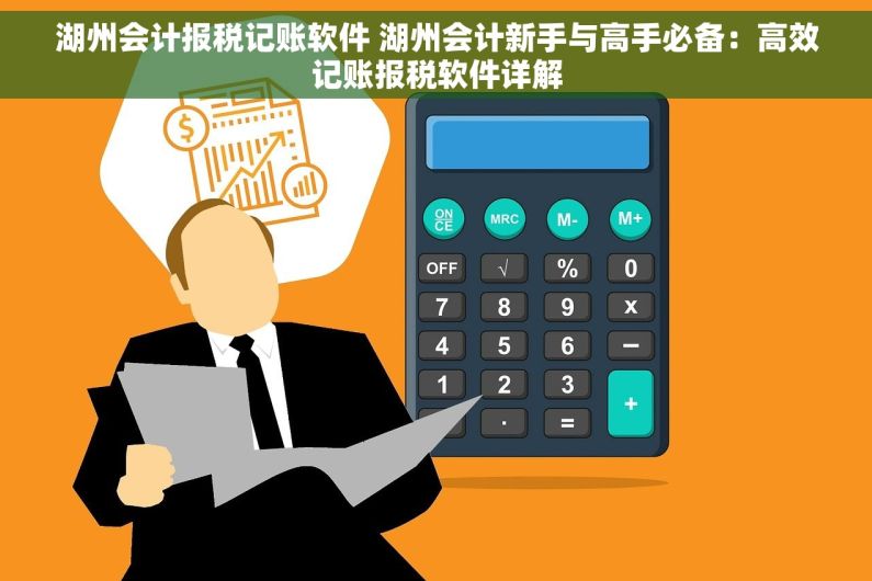 湖州会计报税记账软件 湖州会计新手与高手必备：高效记账报税软件详解