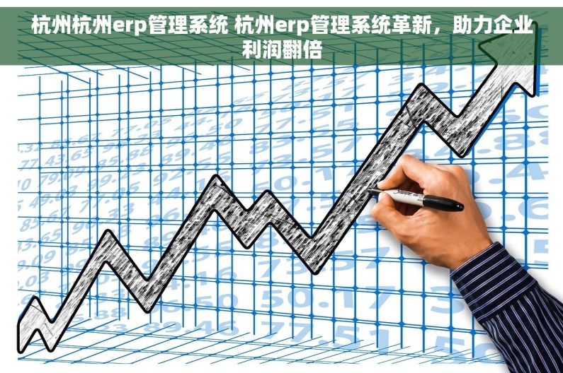 杭州杭州erp管理系统 杭州erp管理系统革新，助力企业利润翻倍