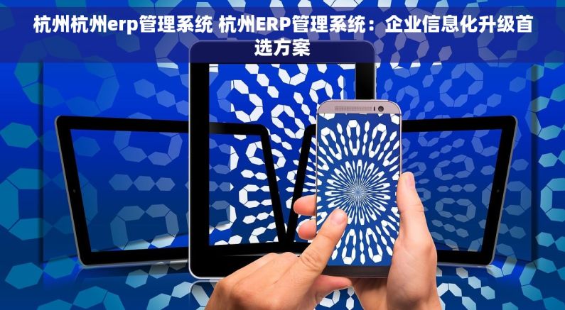 杭州杭州erp管理系统 杭州ERP管理系统：企业信息化升级首选方案