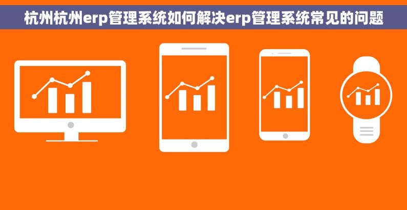 杭州杭州erp管理系统如何解决erp管理系统常见的问题