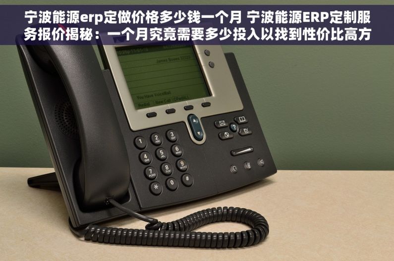 宁波能源erp定做价格多少钱一个月 宁波能源ERP定制服务报价揭秘：一个月究竟需要多少投入以找到性价比高方案