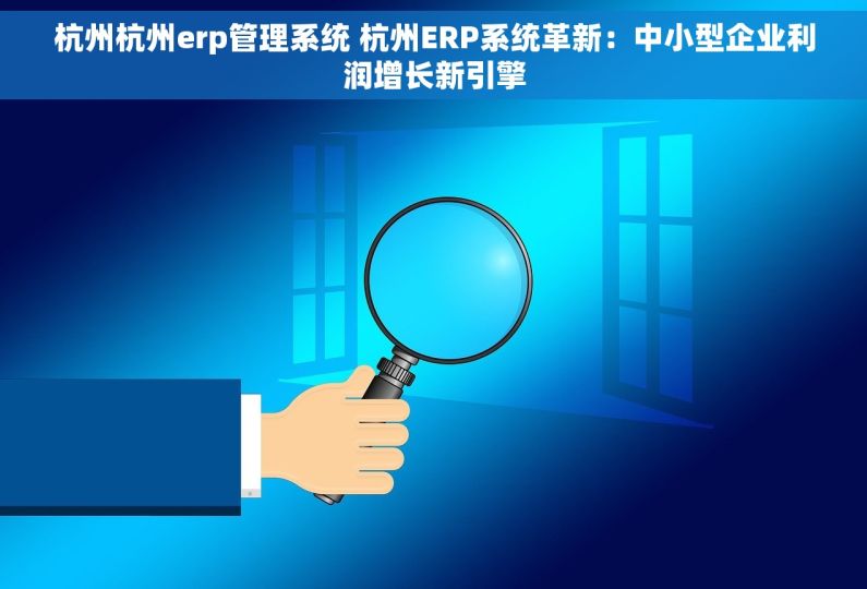 杭州杭州erp管理系统 杭州ERP系统革新：中小型企业利润增长新引擎