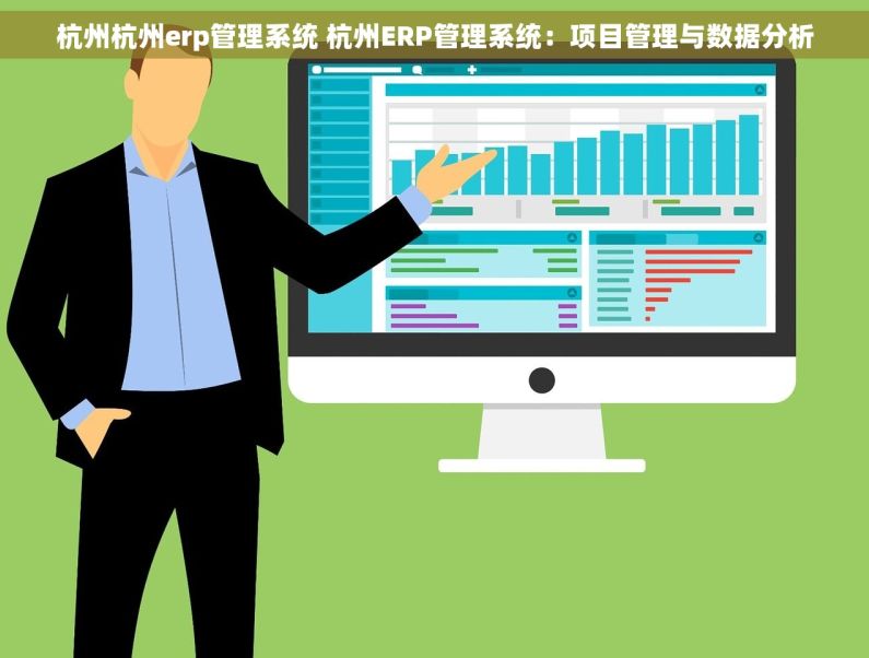 杭州杭州erp管理系统 杭州ERP管理系统：项目管理与数据分析