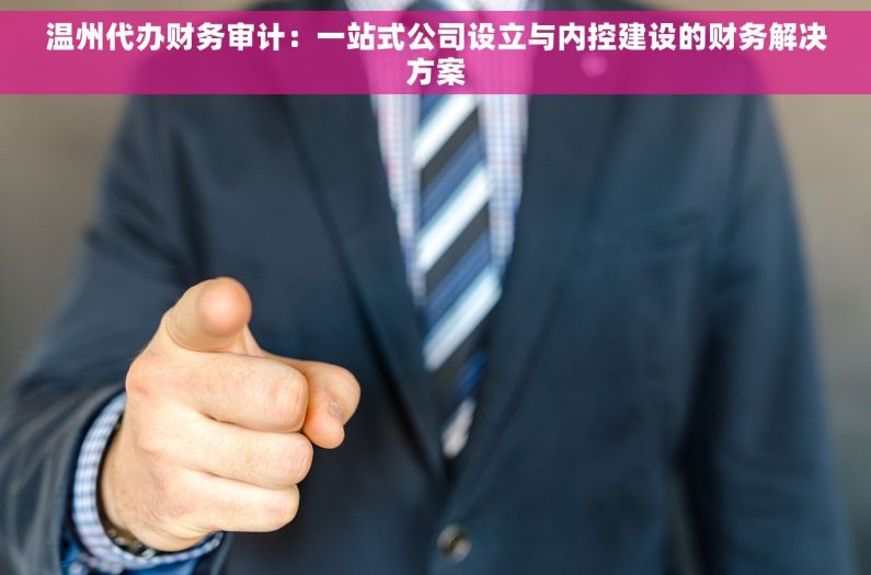 温州代办财务审计：一站式公司设立与内控建设的财务解决方案