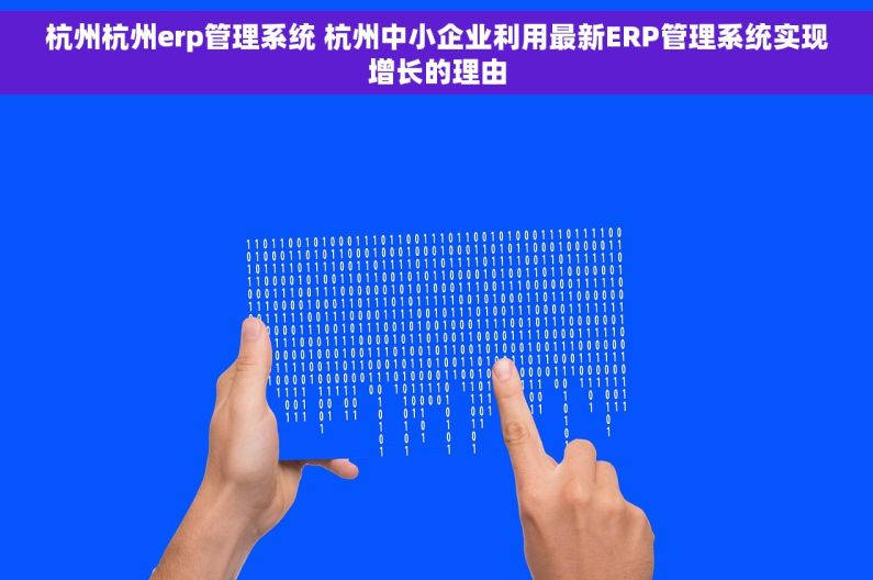 杭州杭州erp管理系统 杭州中小企业利用最新ERP管理系统实现增长的理由