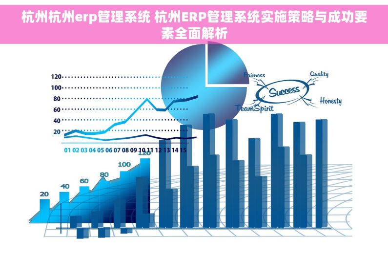 杭州杭州erp管理系统 杭州ERP管理系统实施策略与成功要素全面解析