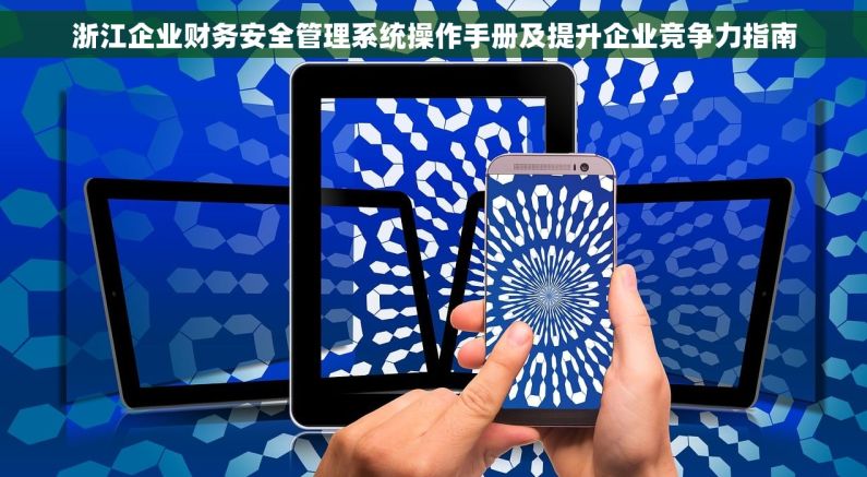 浙江企业财务安全管理系统操作手册及提升企业竞争力指南