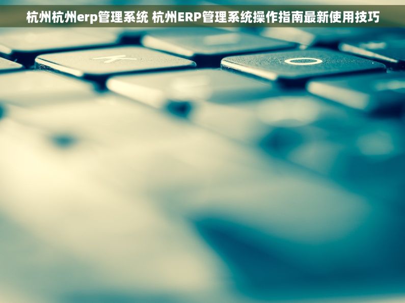 杭州杭州erp管理系统 杭州ERP管理系统操作指南最新使用技巧