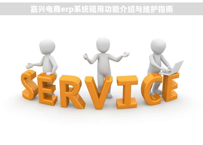 嘉兴电商erp系统租用功能介绍与维护指南