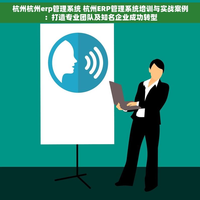 杭州杭州erp管理系统 杭州ERP管理系统培训与实战案例：打造专业团队及知名企业成功转型
